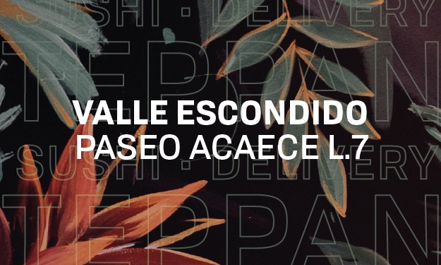 Teppanyaki Valle Escondido